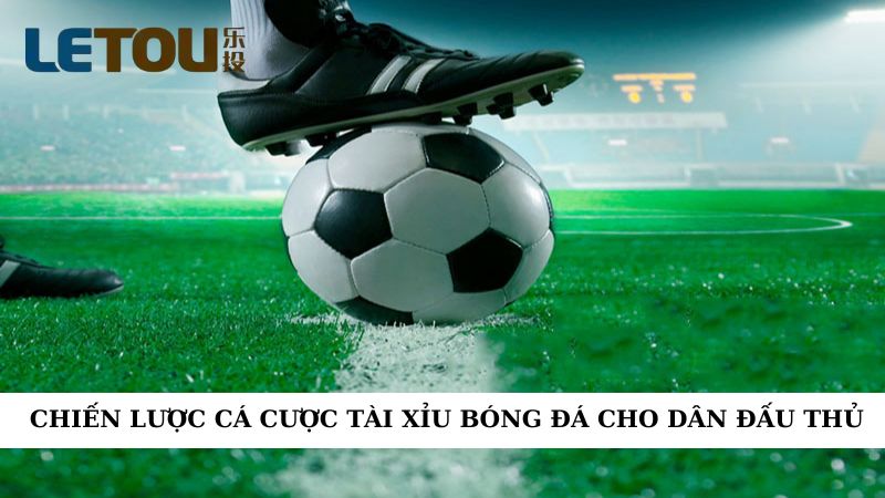 Chiến lược cá cược tài xỉu bóng đá cho dân đấu thủ